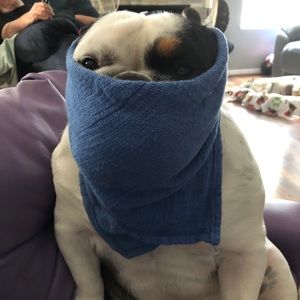 Doing my part to fight COVID-19